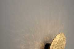 Spe-Gold-1