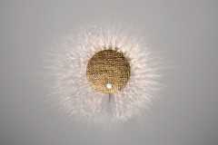 Spe-Gold-5