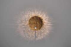 Spe-Gold-8