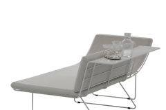 IL-10