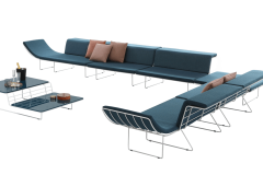 IL-12