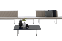 IL-13