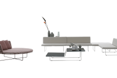 IL-8